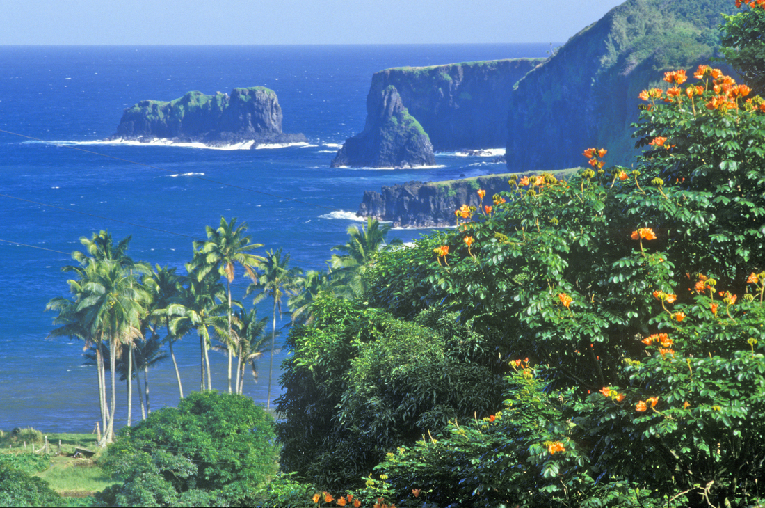 Hawaiian Cruise with Official Cruise Directory Experts